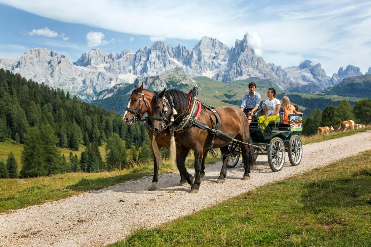 Hotel Italia Castello-Molina di Fiemme Eksteriør billede